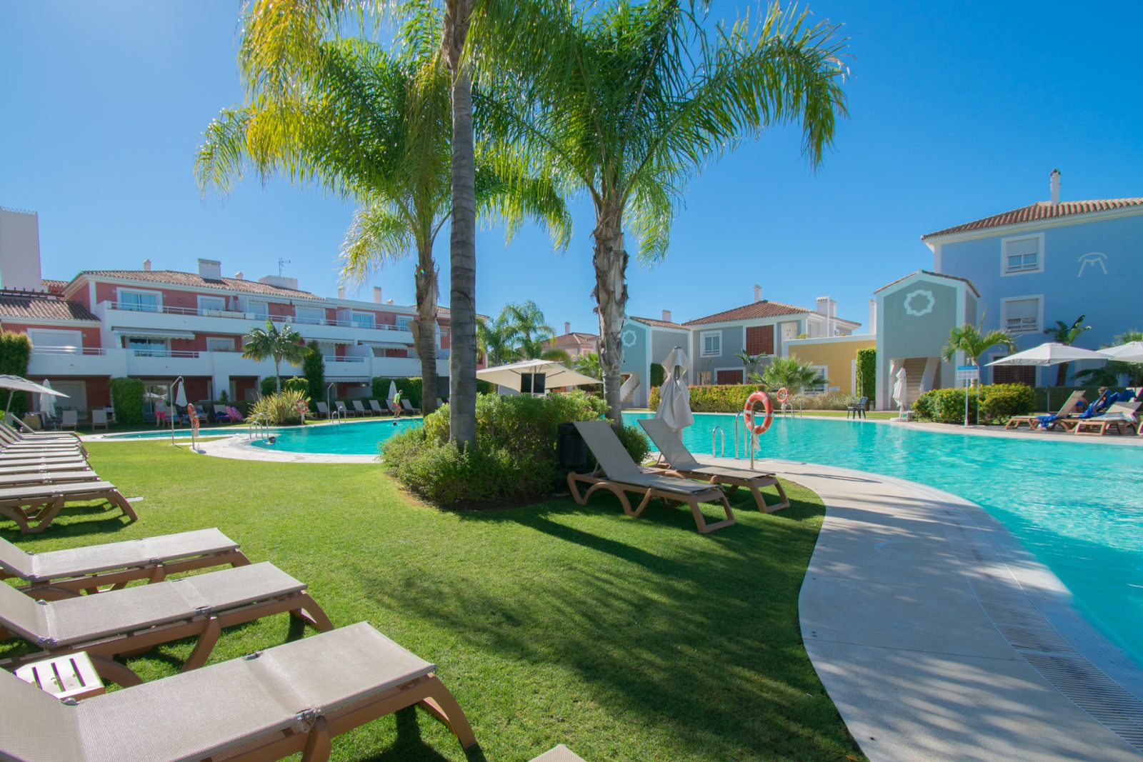 pool och palm, ett härligt ställe att spendera på semesterledighet