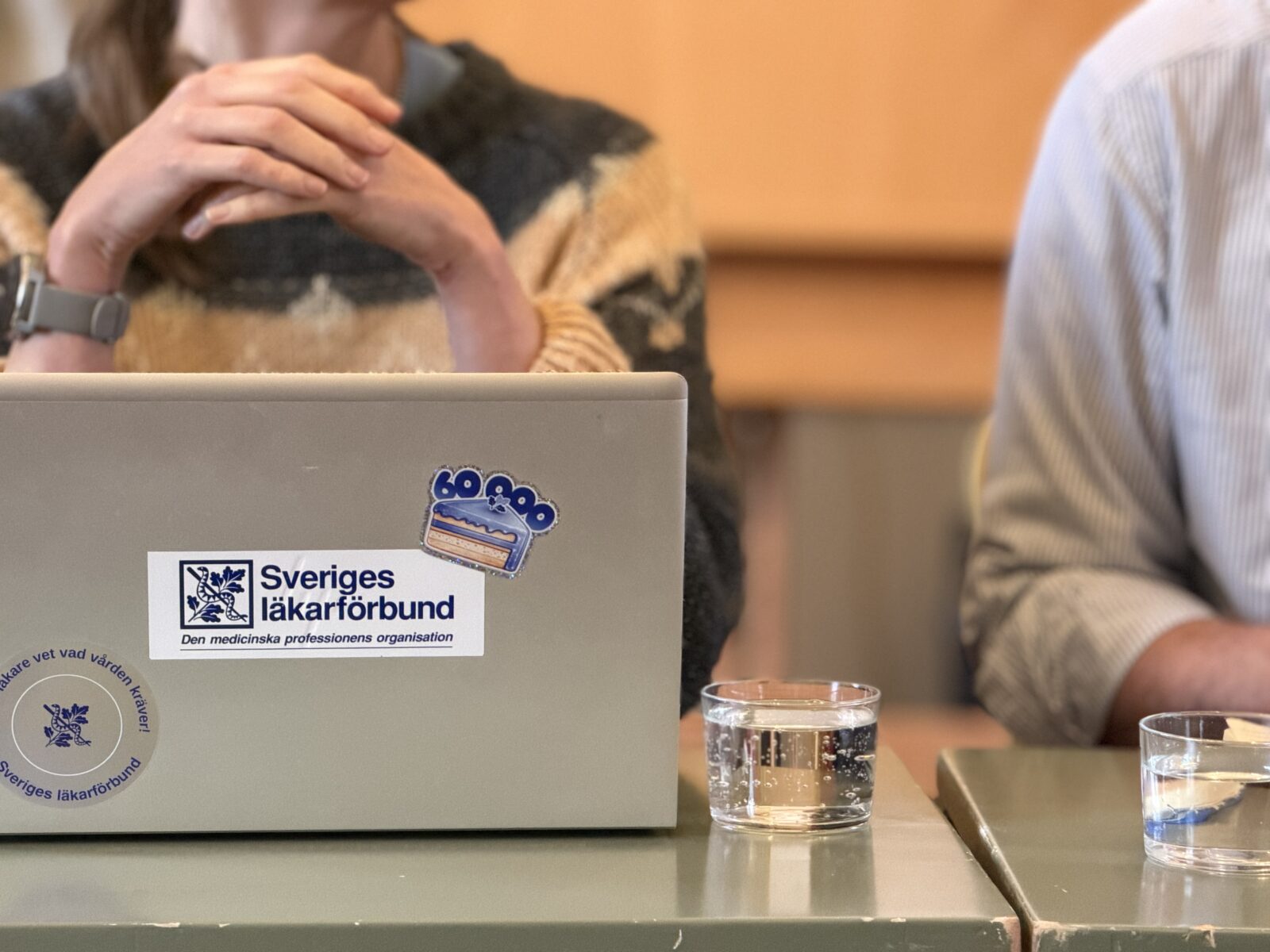 Förhandlingsdelegationen